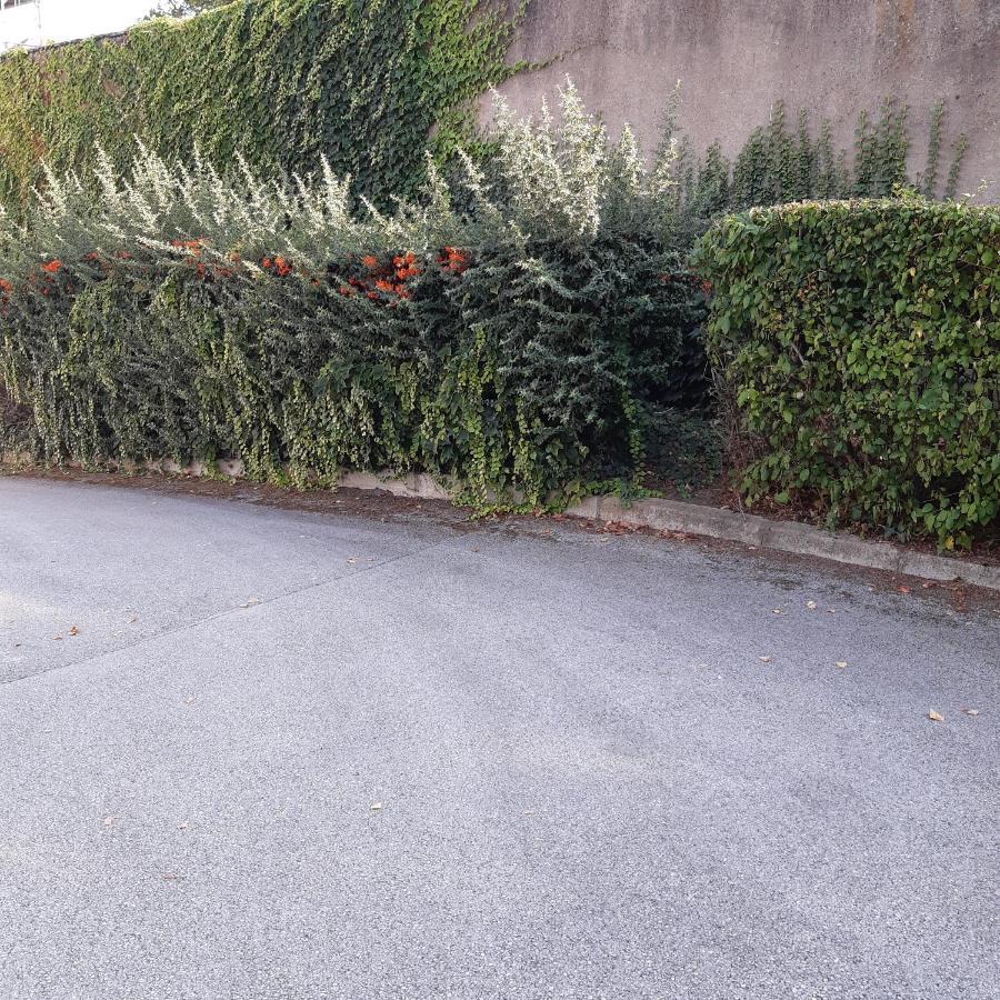 Le Phenix A Internet Haut Debit & Parking Dijon Buitenkant foto